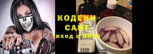 не бодяженный Арсеньев