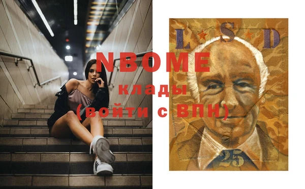 сатива Аркадак