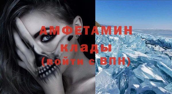 сатива Аркадак