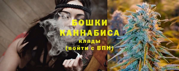 сатива Аркадак