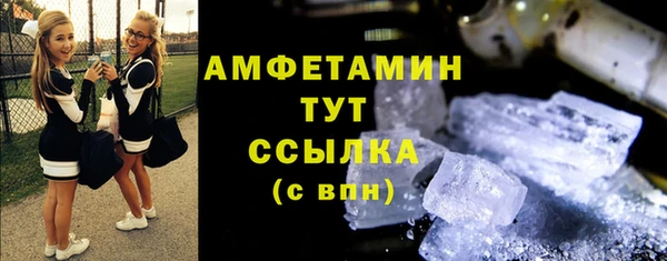 сатива Аркадак